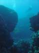 dsc00110_small.jpg