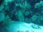 dsc00114_small.jpg
