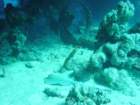 dsc00116_small.jpg