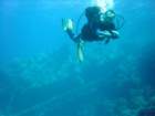 dsc00117_small.jpg