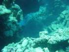 dsc00118_small.jpg