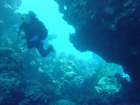 dsc00122_small.jpg