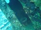 dsc00124_small.jpg