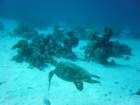 dsc00131_small.jpg