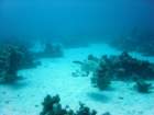 dsc00134_small.jpg