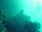 dsc00136_small.jpg