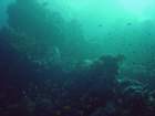 dsc00138_small.jpg
