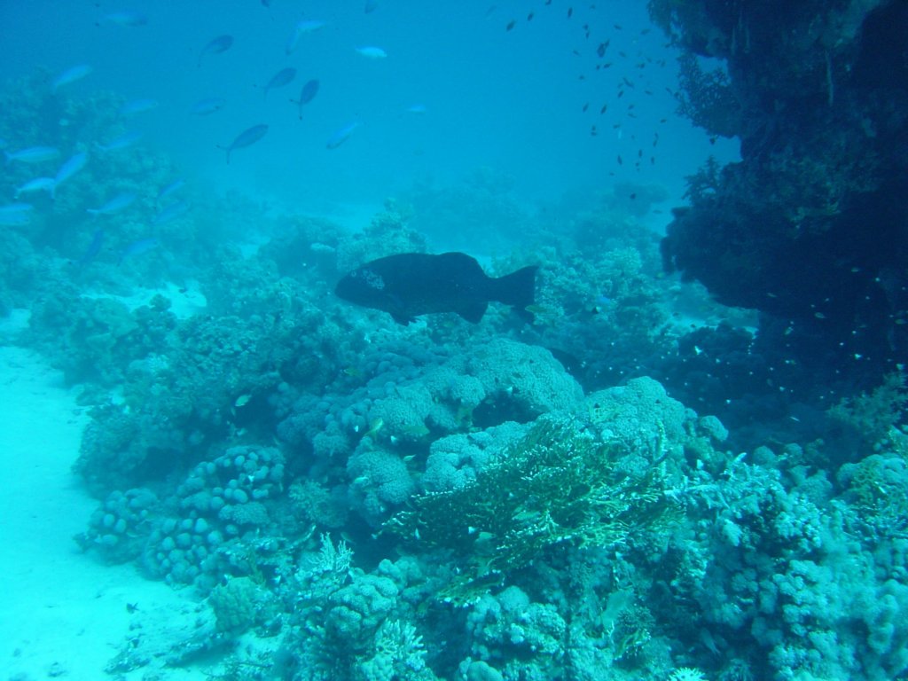 dsc00141.jpg