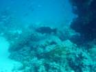 dsc00141_small.jpg