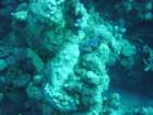 dsc00144_small.jpg