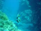 dsc00148_small.jpg
