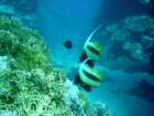 dsc00149_small.jpg