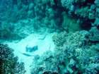 dsc00150_small.jpg
