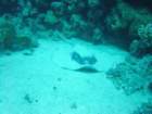 dsc00151_small.jpg
