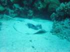 dsc00152_small.jpg