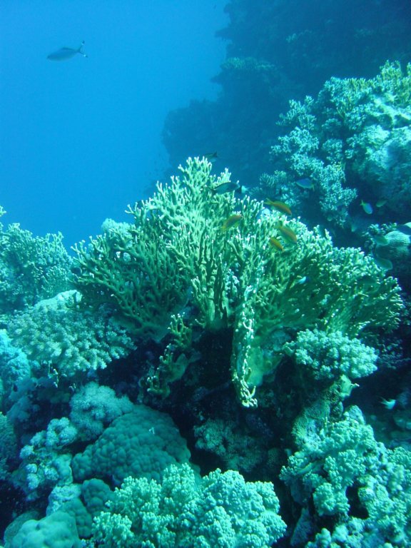 dsc00154.jpg