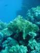 dsc00154_small.jpg