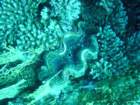 dsc00155_small.jpg
