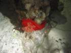 dsc00164_small.jpg