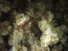 dsc00171_small.jpg