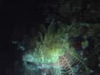 dsc00174_small.jpg