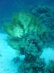 dsc00188_small.jpg