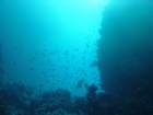 dsc00189_small.jpg