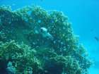 dsc00194_small.jpg