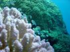 dsc00198_small.jpg