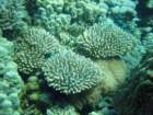 dsc00199_small.jpg