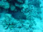 dsc00200_small.jpg