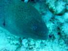 dsc00201_small.jpg