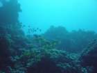 dsc00202_small.jpg