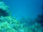 dsc00203_small.jpg