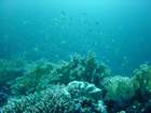 dsc00207_small.jpg