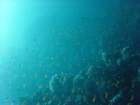 dsc00209_small.jpg