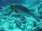 dsc00211_small.jpg