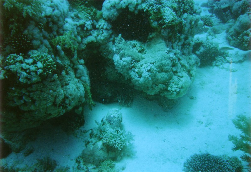 Photograph