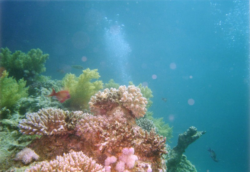 Photograph