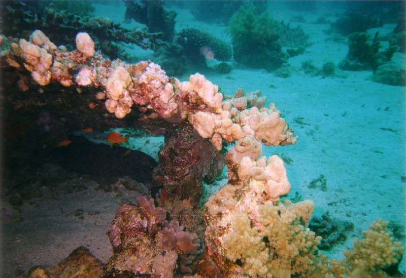 Photograph
