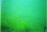 Photo Number 11