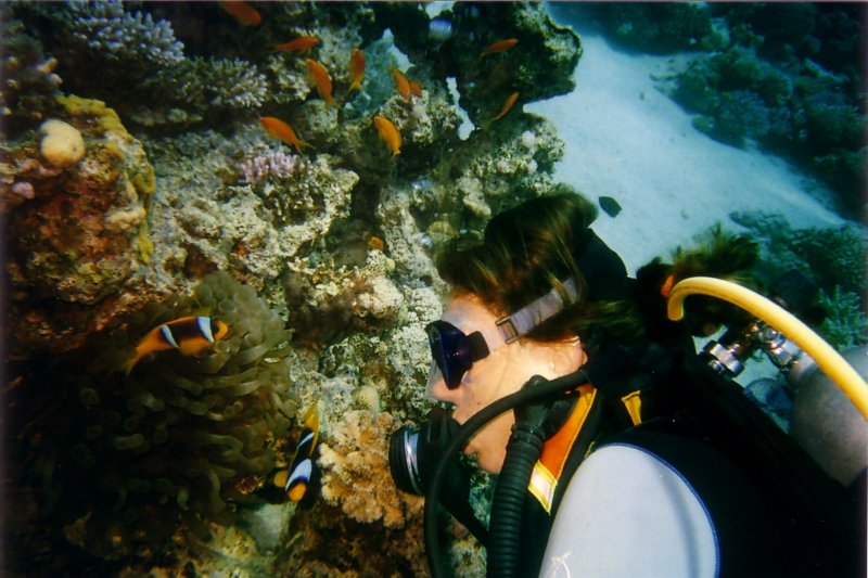 Photograph