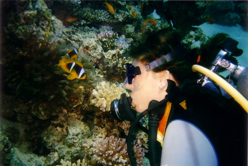 Photograph