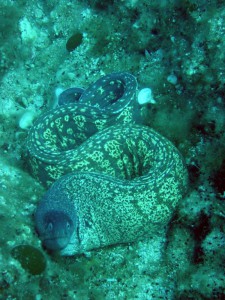 Korfu 2006